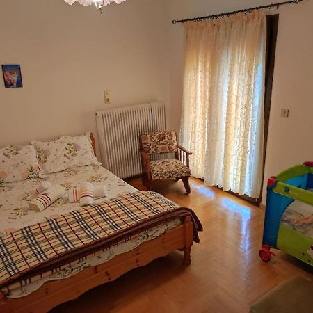 With A View Of Meteora Apartman Diava Kültér fotó