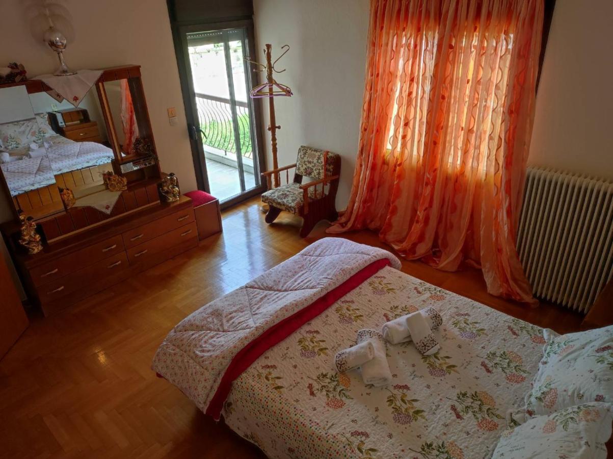 With A View Of Meteora Apartman Diava Kültér fotó