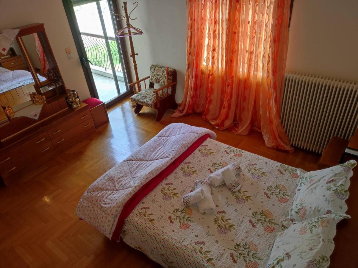 With A View Of Meteora Apartman Diava Kültér fotó