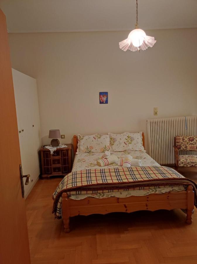 With A View Of Meteora Apartman Diava Kültér fotó
