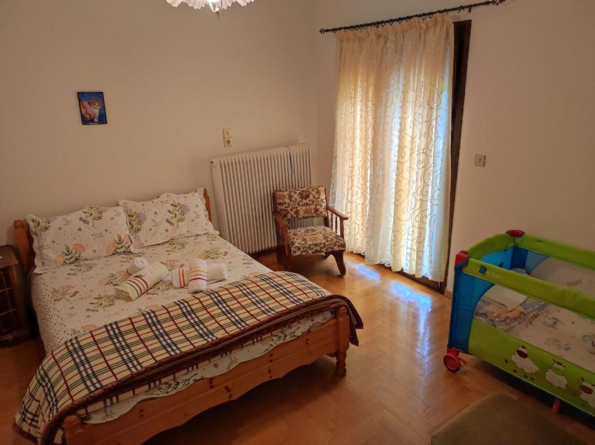 With A View Of Meteora Apartman Diava Kültér fotó