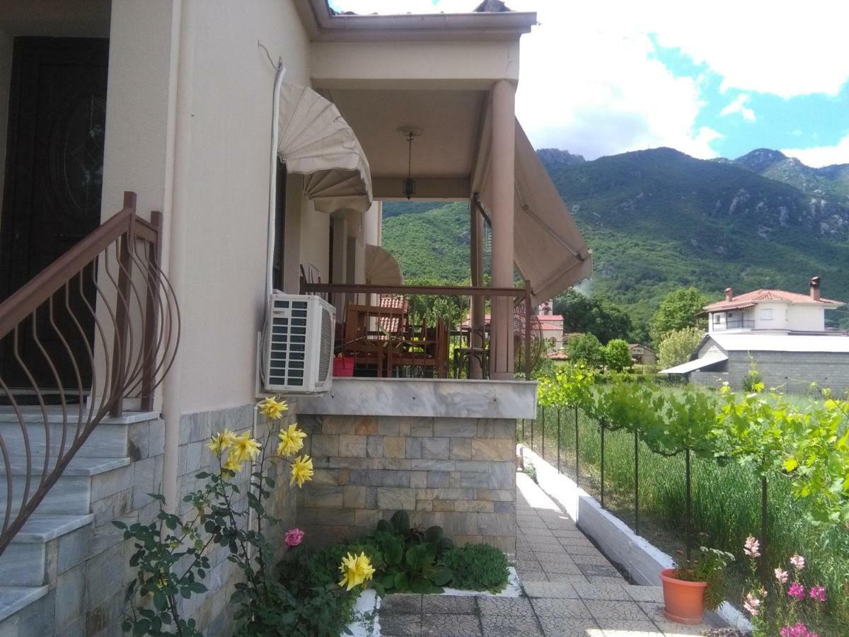 With A View Of Meteora Apartman Diava Kültér fotó