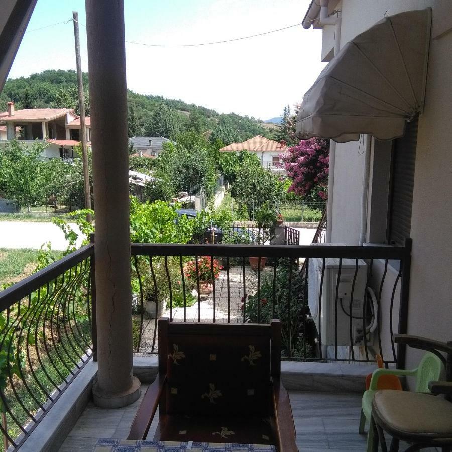 With A View Of Meteora Apartman Diava Kültér fotó